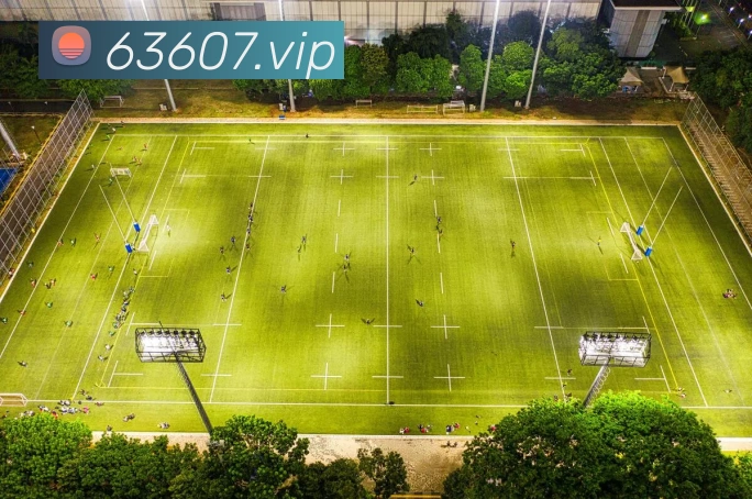 8868体育官网APP 高清赛事图